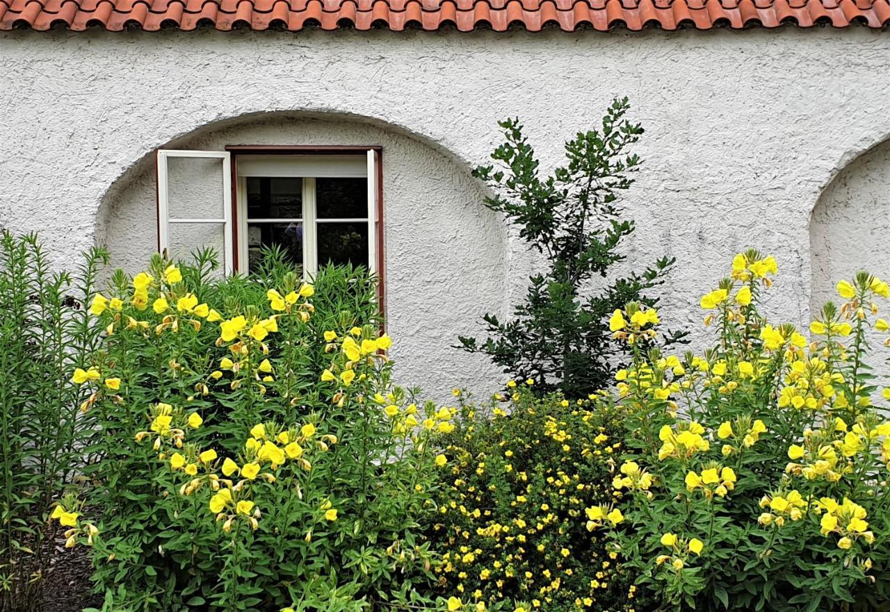 Garden Residence Prague Castle エクステリア 写真