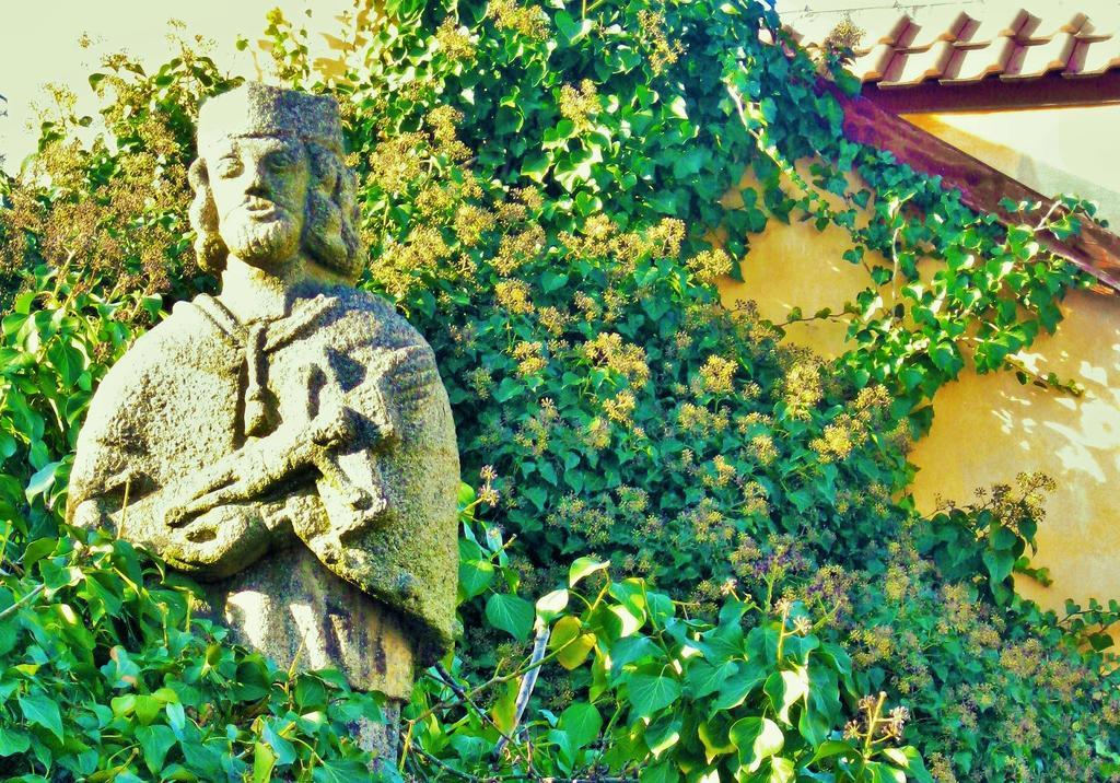 Garden Residence Prague Castle エクステリア 写真