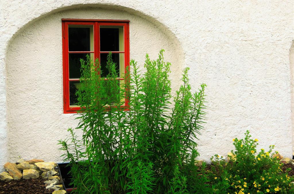 Garden Residence Prague Castle エクステリア 写真